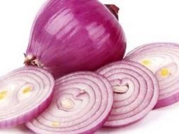 onion-108486