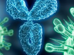 122911ca_antibody_41320istock_222