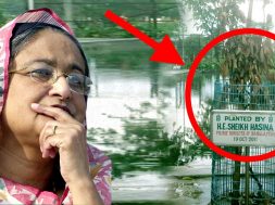 104458863_276709866777177_5222191070562168462_n