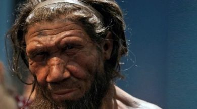 Neanderthal-2102251303