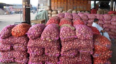 Amritsar: Sacks of onions at a wholesale vegetable market in Amritsar on Sep 24, 2019. Onion prices soared across the country due to supply disruptions due to floods in Madhya Pradesh, Maharashtra and some southern states. Last week’s rainfall has further aggravated the problem, due to which onion prices have surged up to Rs 70-80 per kg in the national capital and other parts of the country. (Photo: IANS)