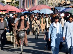 image-276848-1632136972