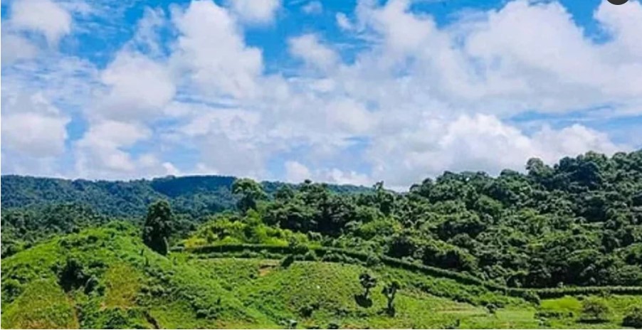 বান্দরবান সীমান্তে মাইন বিস্ফোরণে একজনের দুই পা বিচ্ছিন্ন, আহত ৩