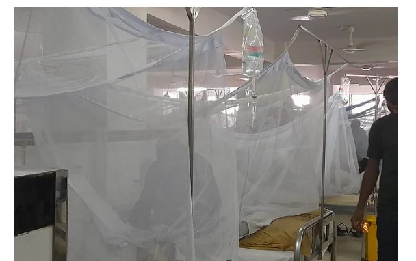 ডেঙ্গু নিয়ে এক দিনে হাসপাতালে ভর্তি ৬১৫ জন, মৃত্যু ১ জনের