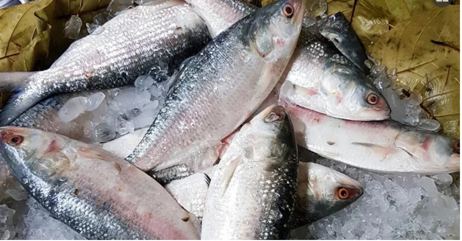 এবার বাংলাদেশের কাছে ইলিশ পাঠানোর আবদার ভারতের