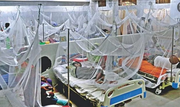 ডে ঙ্গু তে  এ বছরের স র্বো চ্চ মৃত্যু