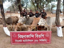 WhatsApp Image 2025-02-18 at 21.53.32