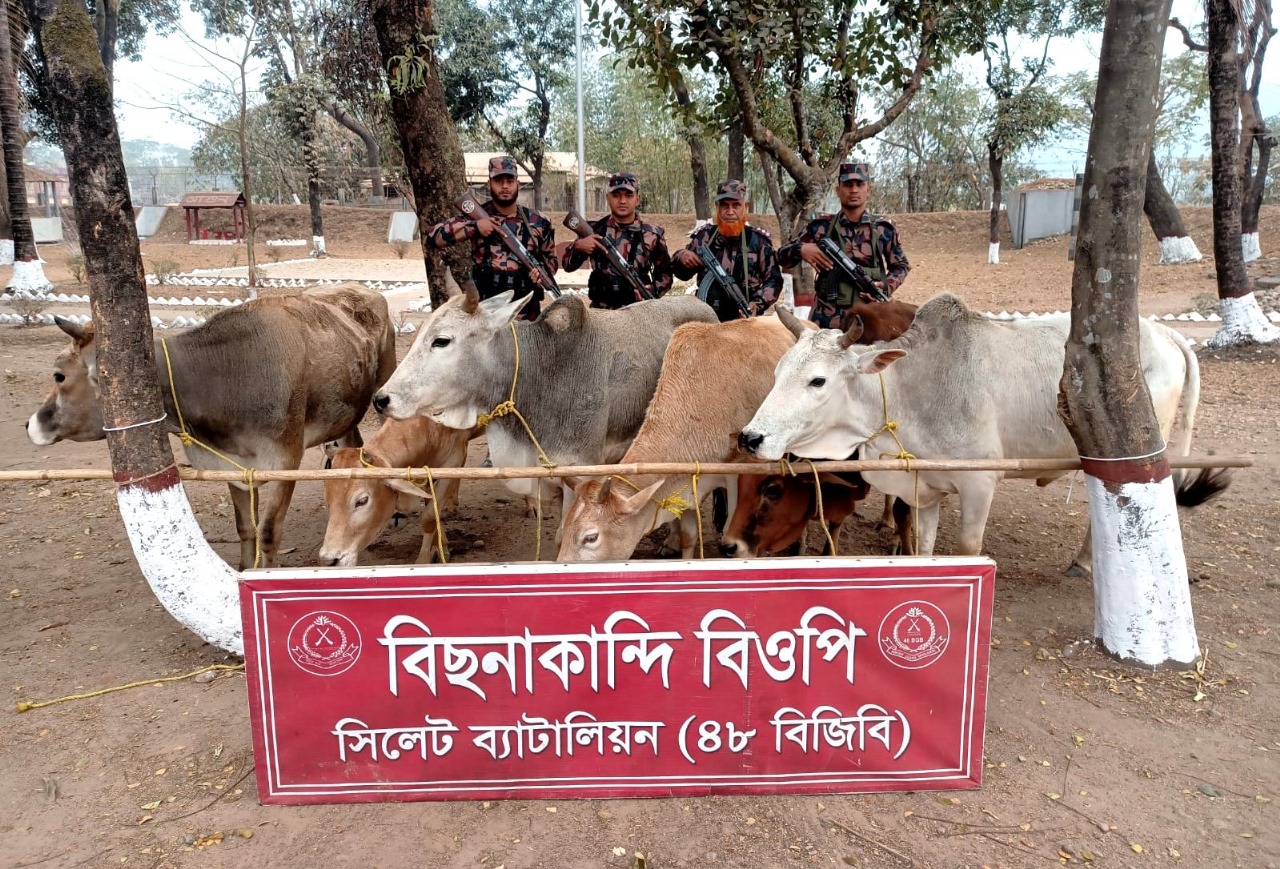 সিলেট ব্যাটা লিয়ন  (৪৮ বিজিবি) কর্তৃক ০৪ কোটি ৮০ ল ক্ষ টাকার চোরাচালানী মালামাল আ টক